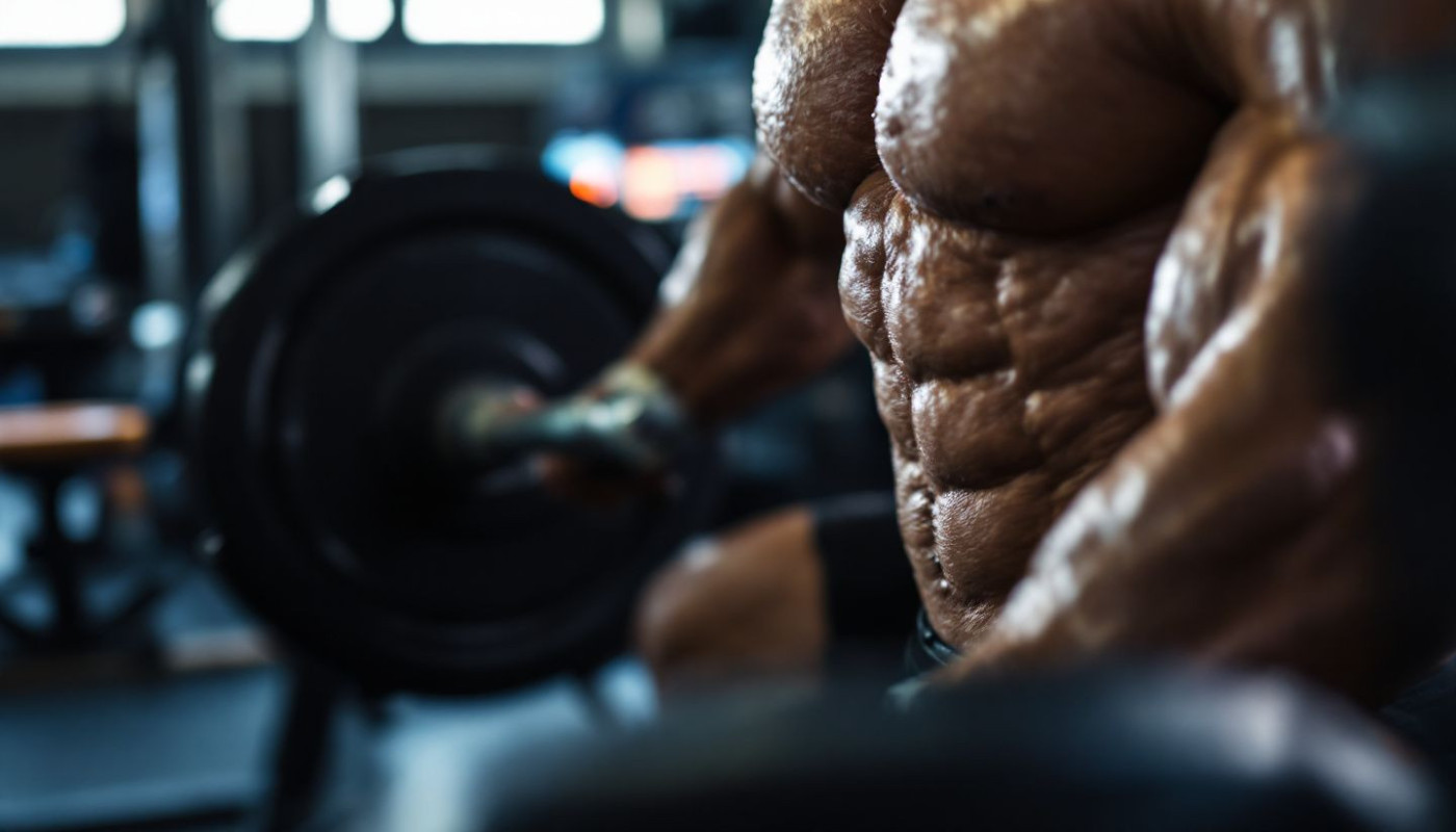 Les bases de la nutrition pour accompagner un entraînement en musculation